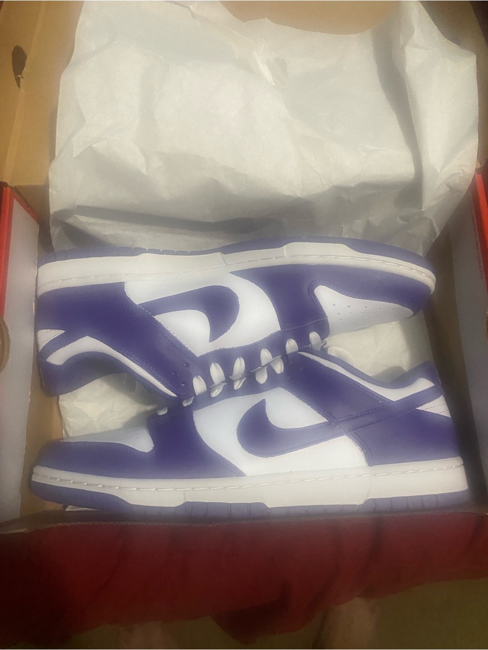 Purple and White dunks (Deadstock)